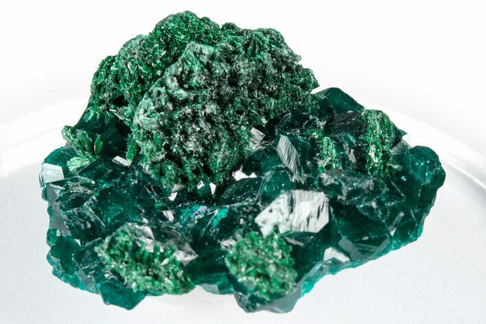 Sparkly Emerald-Green Dioptase With Malachite - Congo #347849